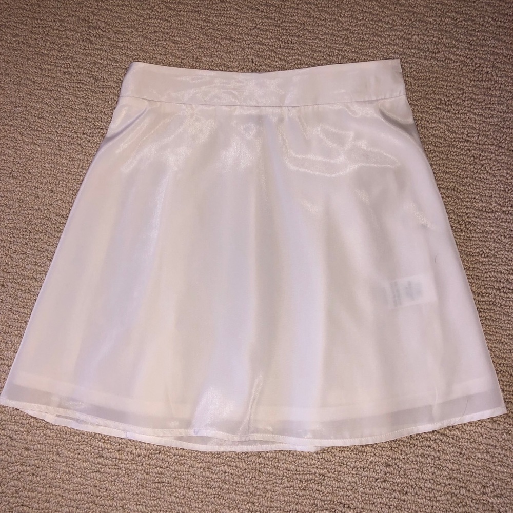 Lulus Skirt